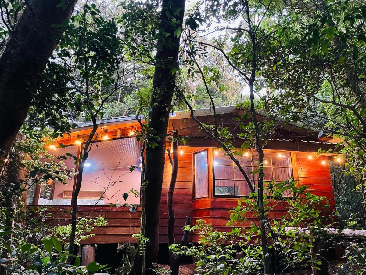 Cabanas La Montana Mountain Lodge Monteverde Exterior photo